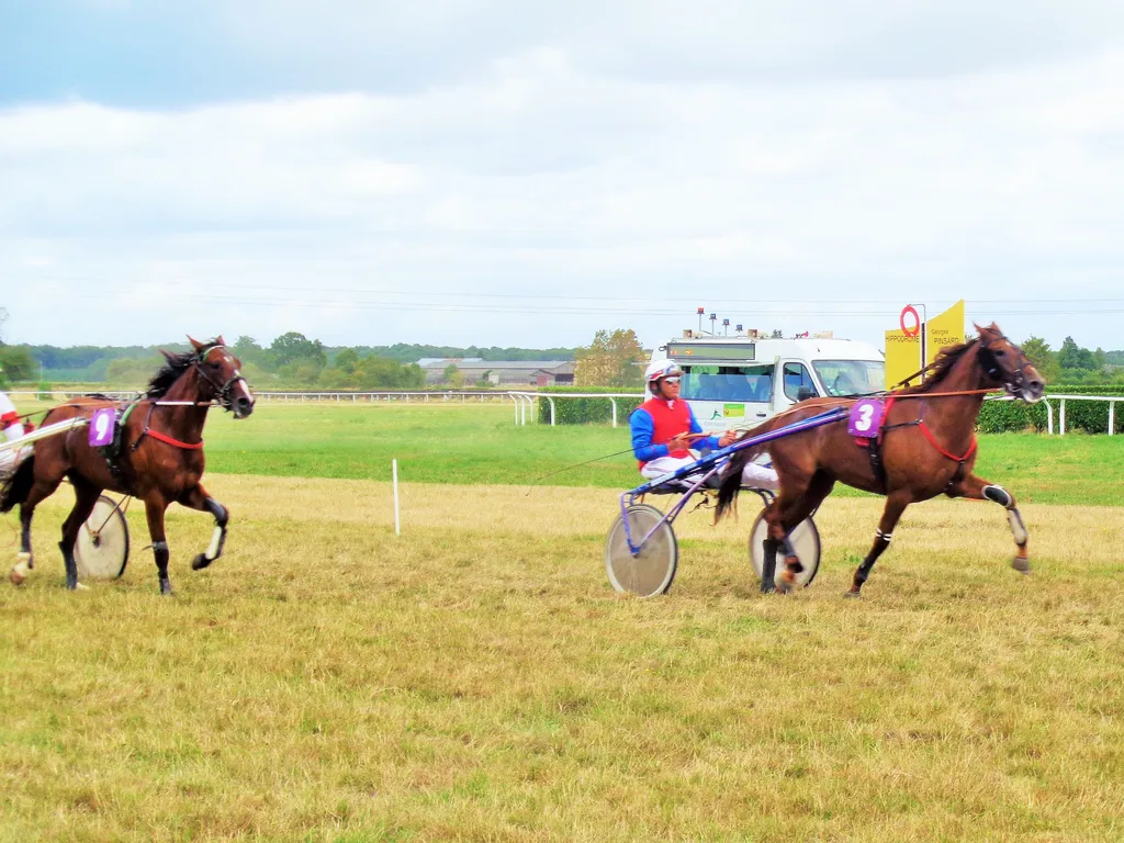 Ho la Destinée l'emporte facilement devant la bonne finisseuse Hermine Girl
