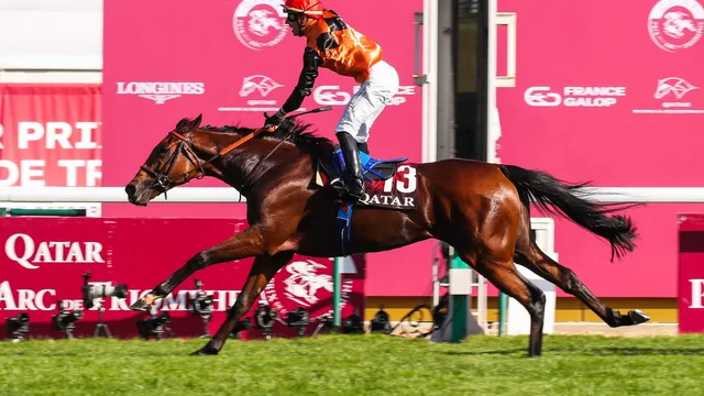 Résultat Prix de l’Arc de Triomphe 2024 / Vainqueur et Quinté dans l’ordre