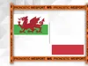 Pronostic Pays de Galles – Pologne GRATUIT : les meilleures cotes