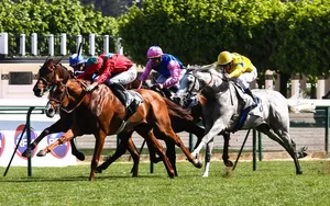 Quinté PMU : Résultat, arrivée et rapports de la course