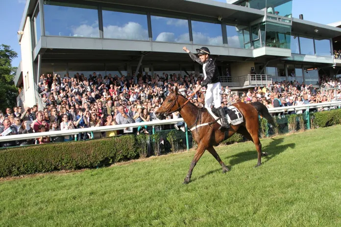 athlètes humains et chevaux de courses
