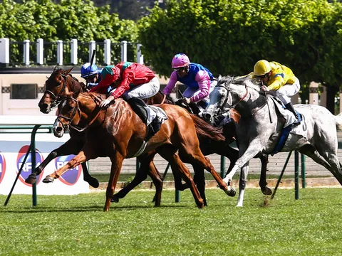 Quinté PMU : Résultat, arrivée et rapports de la course