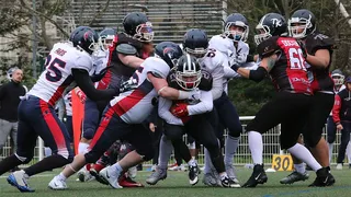 D2 FFFA : Mi-saison, Dragons et Classement