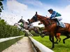 Grand Steeple Chase de Paris 2024 : Horaires et chaîne TV