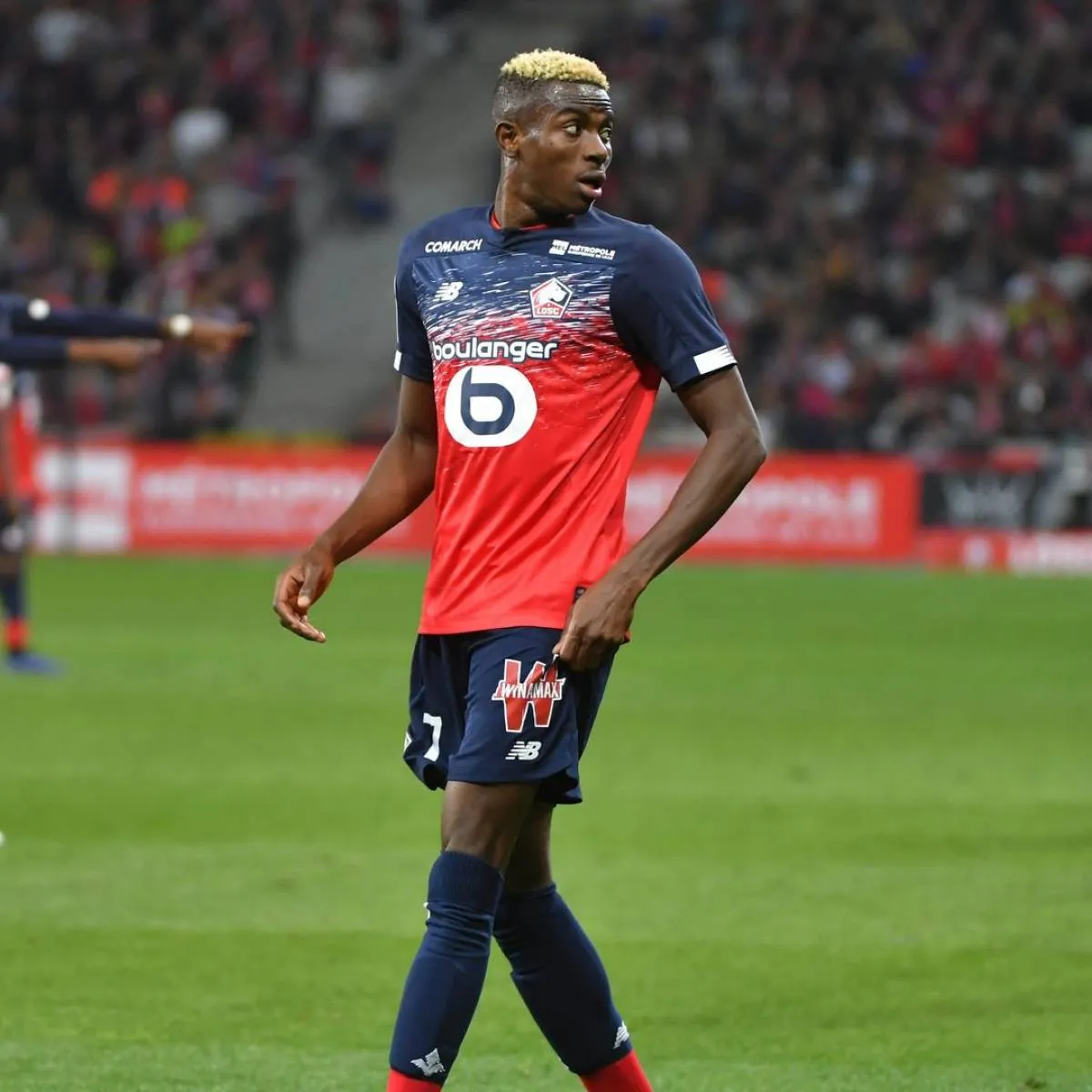 Naples, LOSC : les chiffres fous de l'opération Victor Osimhen