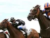 Pronostics Turf du 09/08/2022 : nos chevaux repérés pour Deauville (R1) et Vittel (R4)