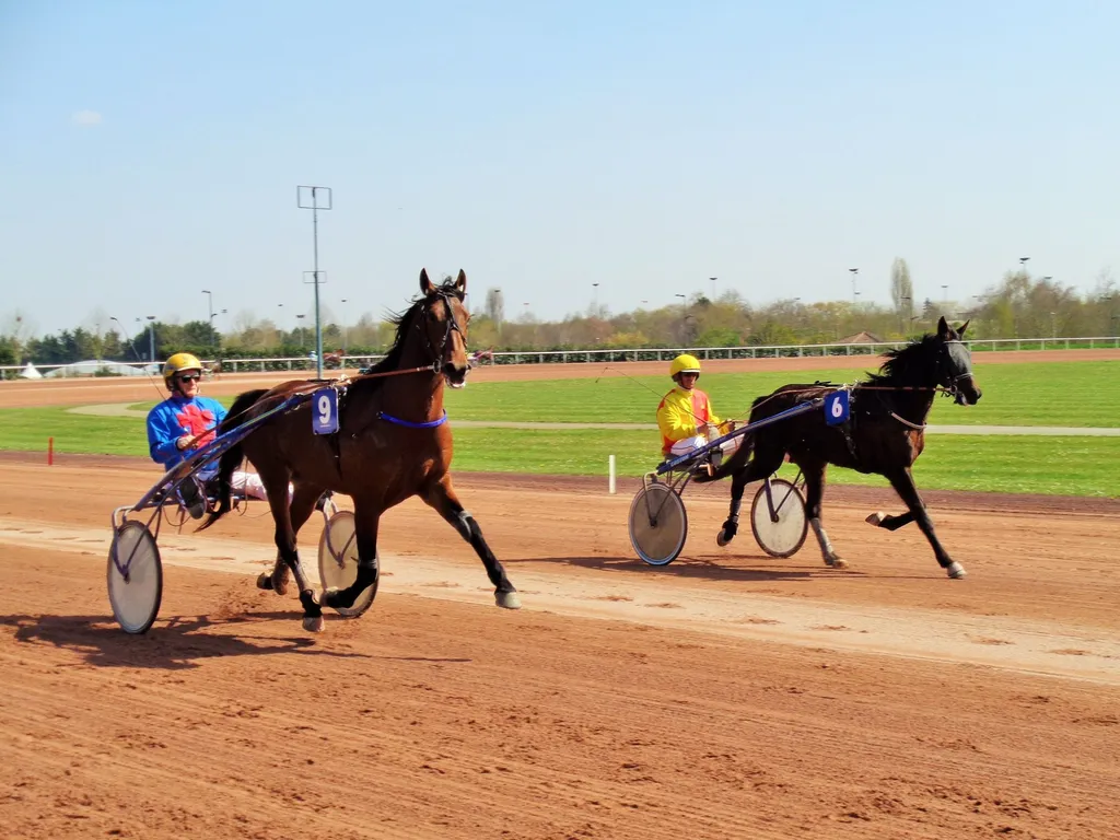 Les trotteurs prennent leurs envol au mois de Mars