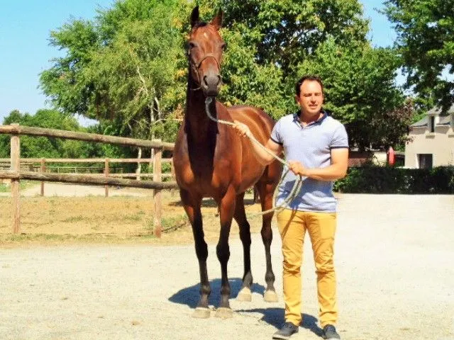  Écurie Jérôme et Didier Marion