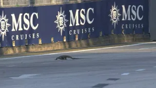 F1 : Quand « Godzilla » vient perturber les EL1 à Singapour