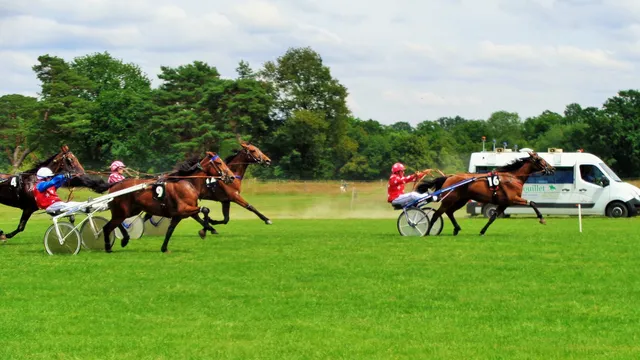 Hippodrome de Rambouillet : d’amateurs à professionnels