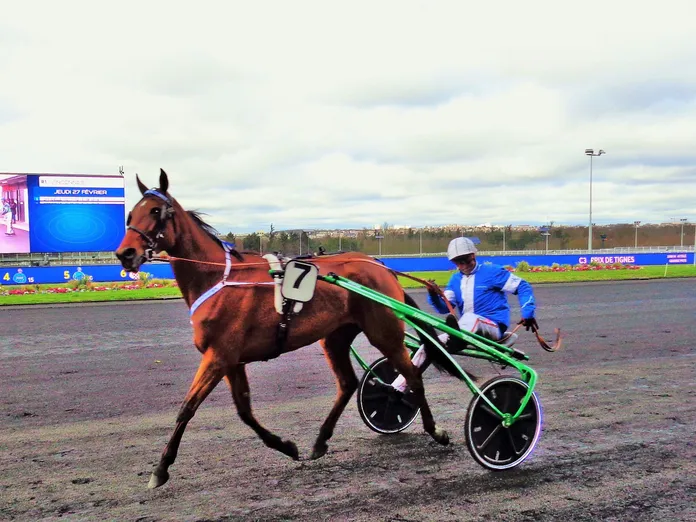 Hippodrome du plateau de Gravelle