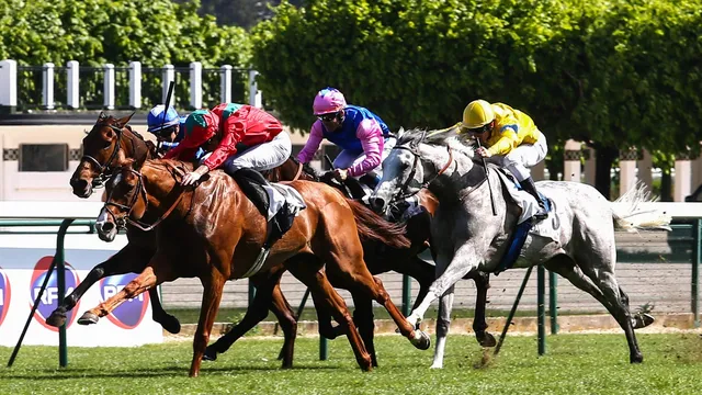 Quinté PMU : Résultat, arrivée et rapports de la course