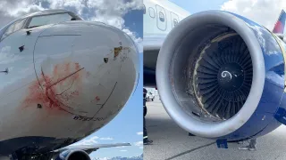 NBA : le récap de la semaine (2021)