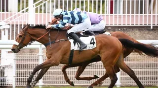 Quinté + du samedi 30 Avril 2022 – Grande Course de Haies de Printemps