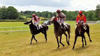 Sillé-le-Guillaume: no stress !