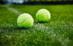 Wonderful Grass #3 : Quand Wimbledon et le Paradis ne font qu’Un