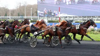 Prix d’Amérique 2024 : Programme, Partants, Heure et TV