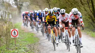 Gent-Wevelgem 2023 : Le parcours et profil de la course