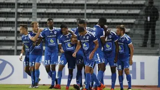 Niort, un chamois qui rumine