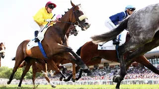 Pronostics Turf du 02/08/2022 : nos chevaux repérés pour Deauville (R1)