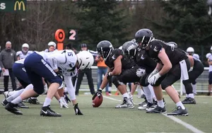 Les Ours de Toulouse, un club de football américain au pays du rugby