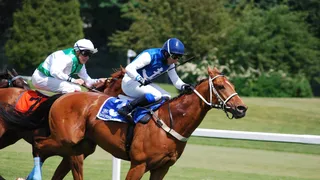 Qu’est ce qu’un handicap dans les courses hippiques ?