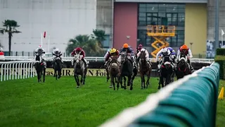 Quinté+ PMU : le pronostic de la rédaction sur la course du jour