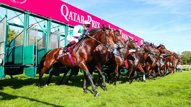 Prix Arc de Triomphe 2024 : à quelle heure et sur quelle chaîne TV regarder la course ?