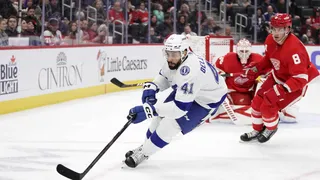 NHL : le mois des Français