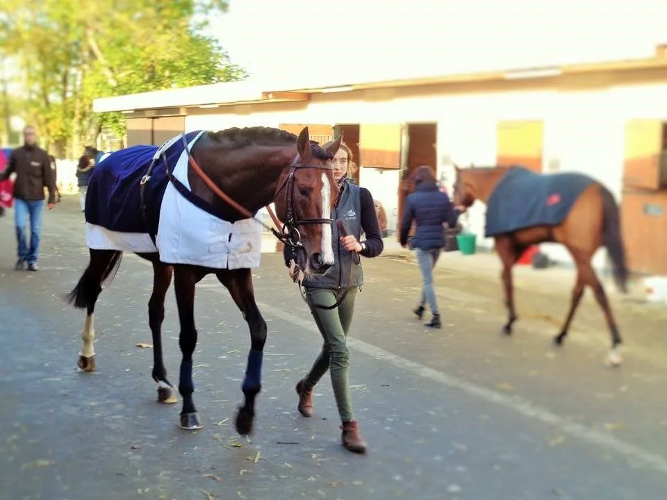 Cavaliers d'entrainement