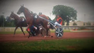 Les bébés trotteurs déterrent la… H de guerre !