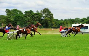 Hippodrome de Rambouillet : d’amateurs à professionnels