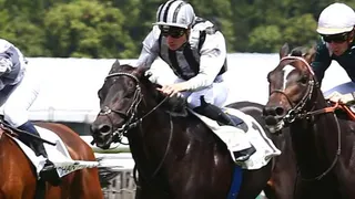 Pronostics Turf du 16/07/2022 : nos chevaux repérés pour Saint-Cloud (R4)