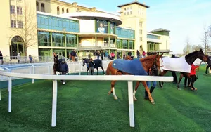 Mes chevaux de légende. (série 1: les galopeurs)