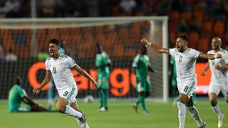 Sénégal – Algérie : les notes du match !