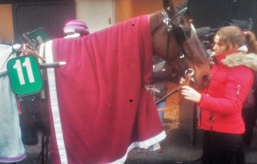 Comme tous les jeudis, retrouvez le résumé d’une semaine de passion, de chevaux, de sport. “Une semaine qu’hippique”. Episode X.  Cette semaine retrouvez: Vincennes, des futurs gagnants et un rendez-vous important...