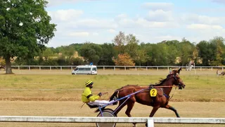 À la découverte de nouveaux talents (numéro 1)