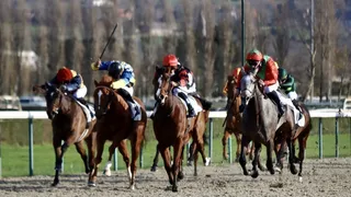 Pronostics Turf du 11/08/2022 : nos outsiders préférés pour Deauville (R5)