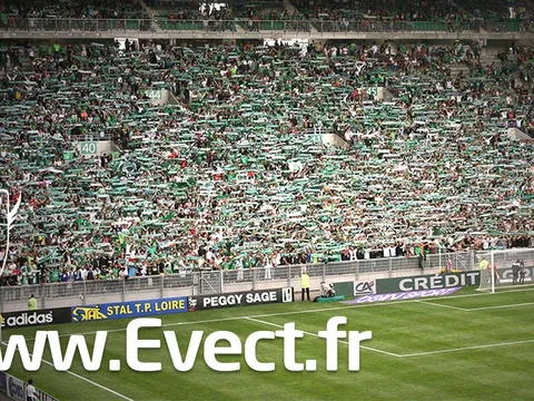 100% Fan : le site En Vert et Contre Tous