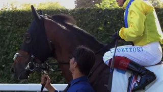 l’ange des courses !