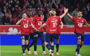 LOSC : seul le Bayern Munich fait aussi bien que les Dogues en Europe