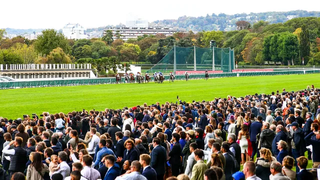 Les différents types de courses de chevaux d’un Quinté + PMU