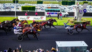 Prix d’Amerique 2025 : partants, pronostic et cote