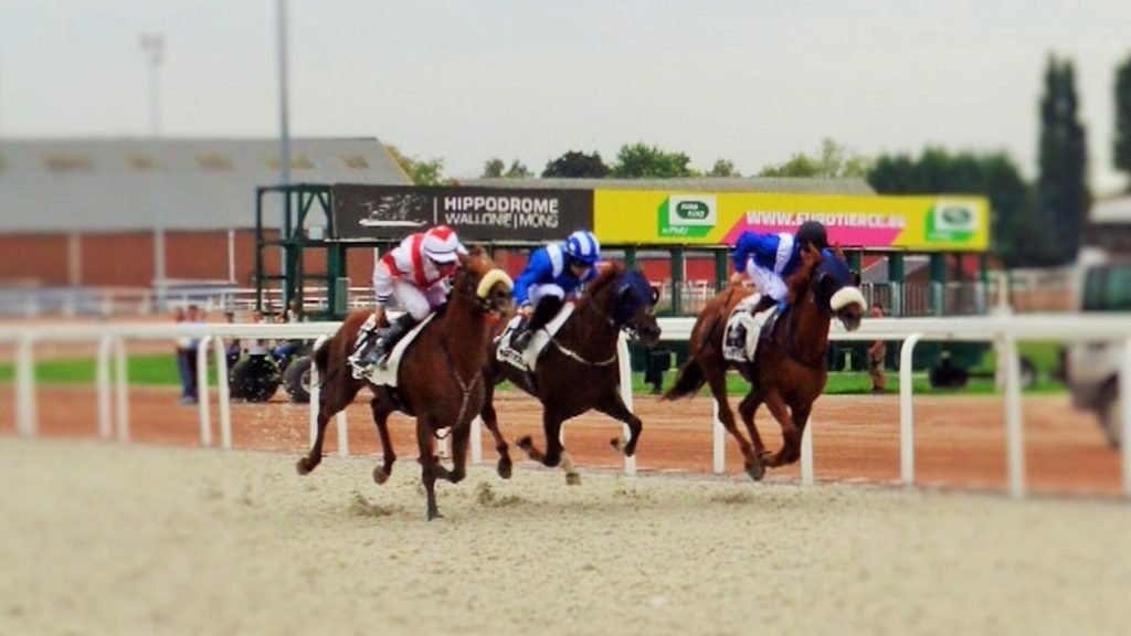 courses hippiques
