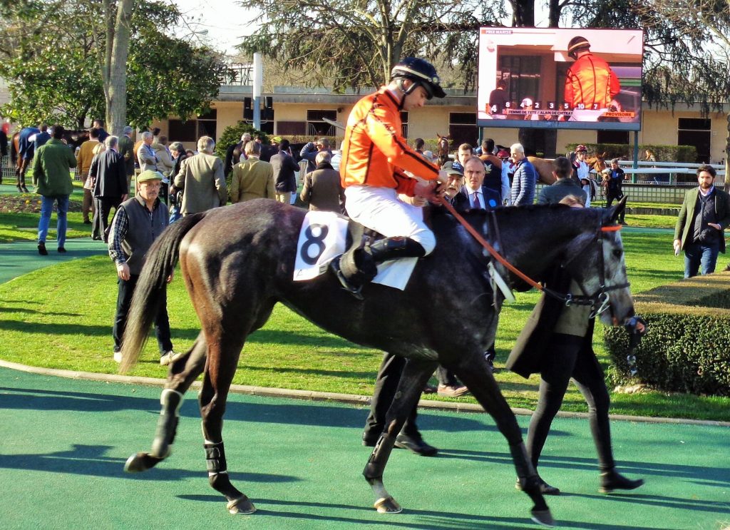Auteuil