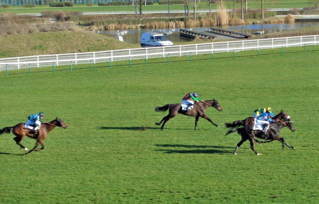 Auteuil de la passion, du courage