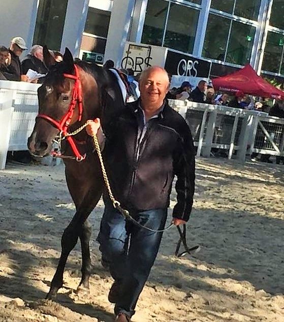 Didier Marion en compagnie d'El Tango Bello sur l'hippodrome de Nantes