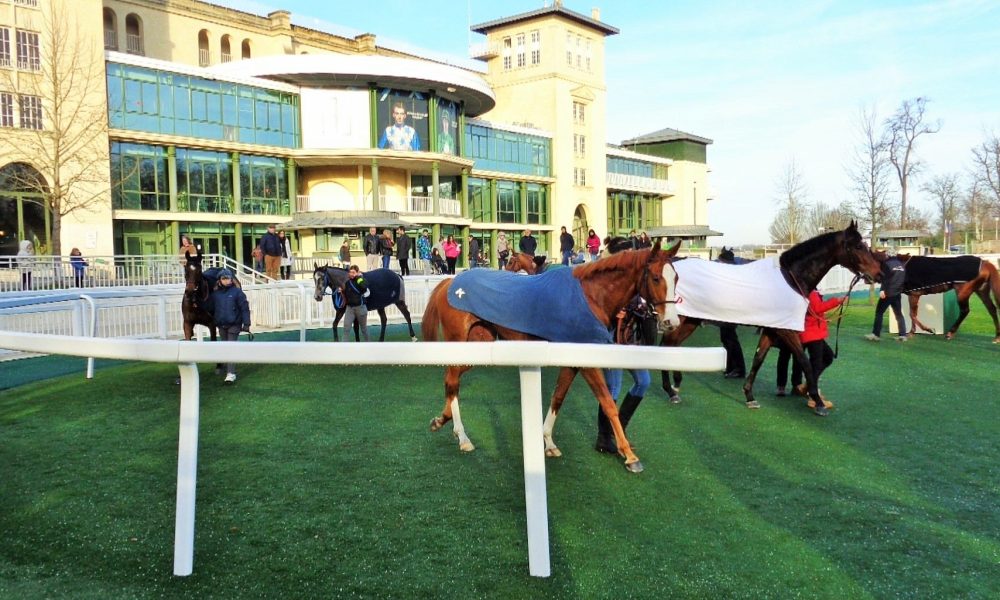 Chevaux de course: le rêve peut-il faire oublier le risque