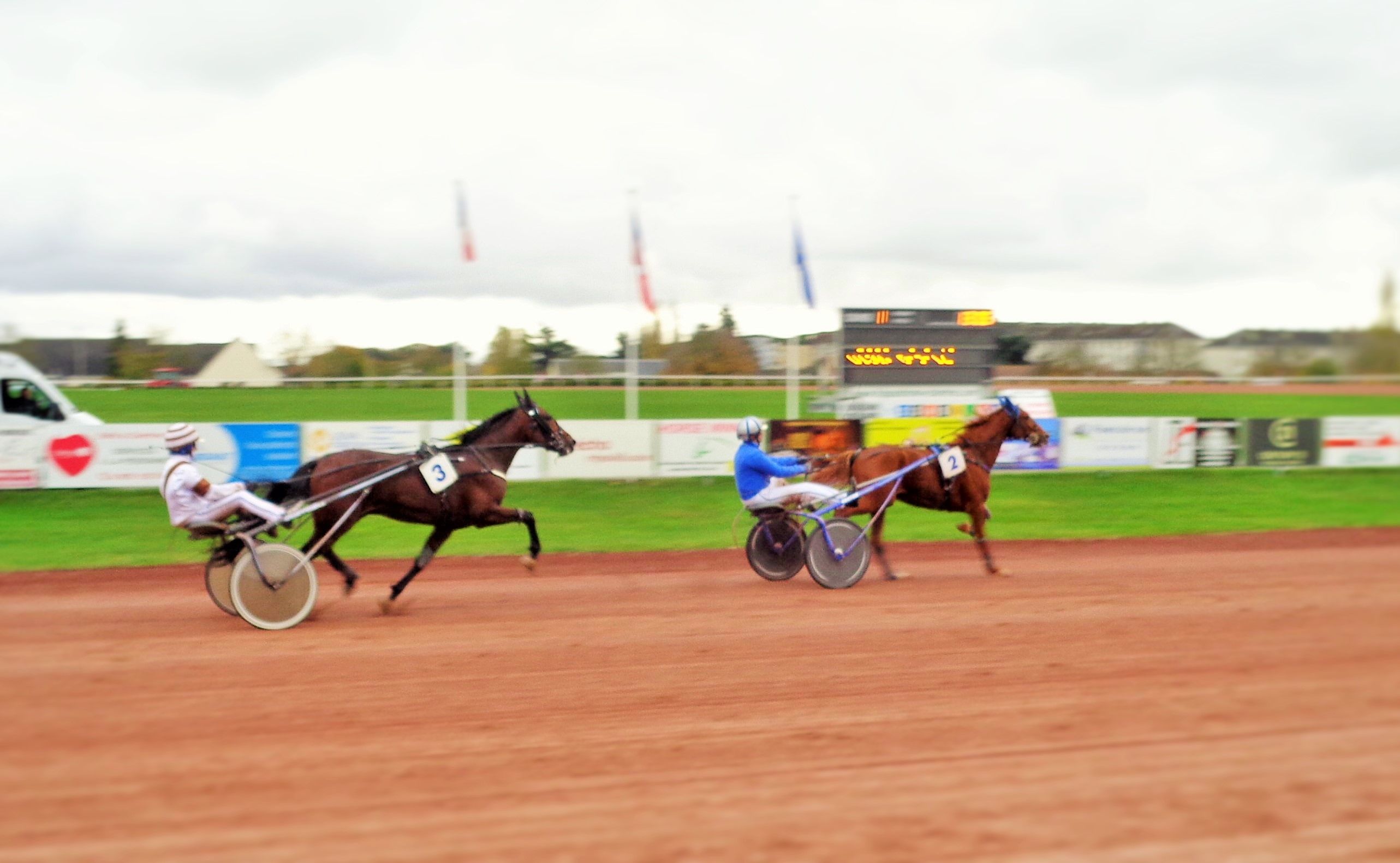 Hippodrome de Chartres: Hello Paname l'emporte facilement face à Hibernato