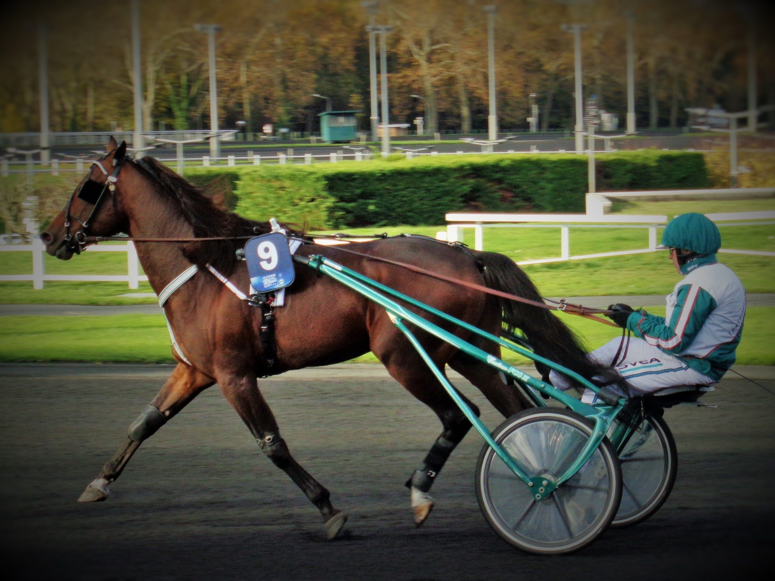 Prix de Bretagne; Who's Who
